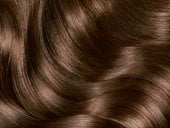 3600542591737 swatch