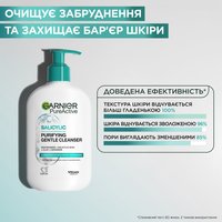 НІЖНИЙ ОЧИЩУВАЛЬНИЙ ГЕЛЬ З САЛІЦИЛОВОЮ КИСЛОТОЮ, 250 мл — зображення 2